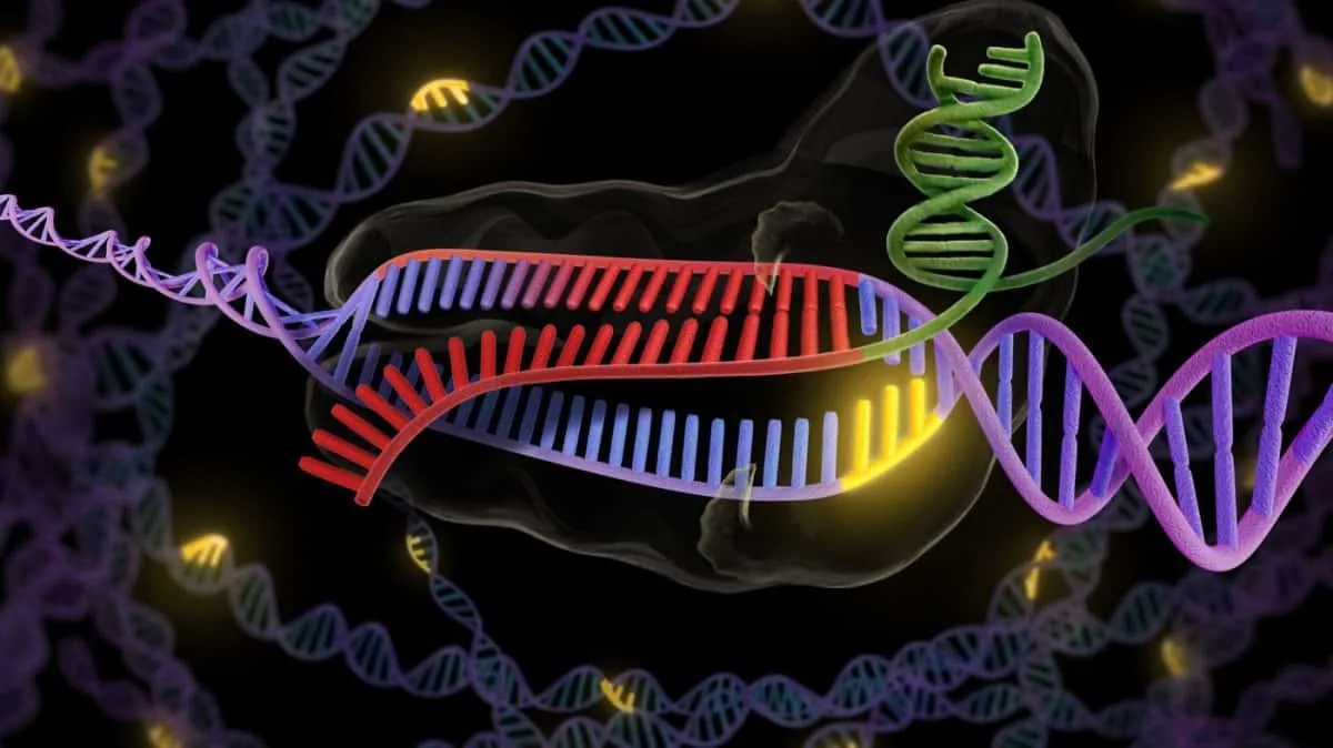Crispr-Illustration