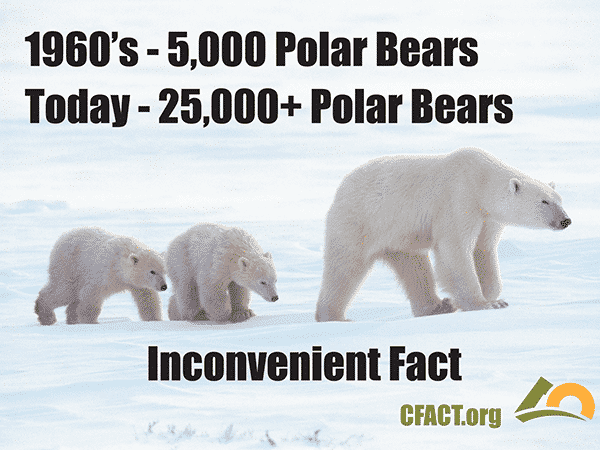COP-21-slides-polar-bears