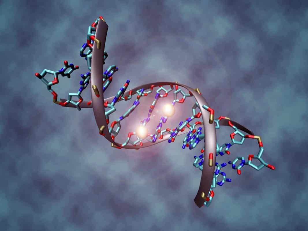 CRISPR DNA Editing Tool Gets Major Upgrade