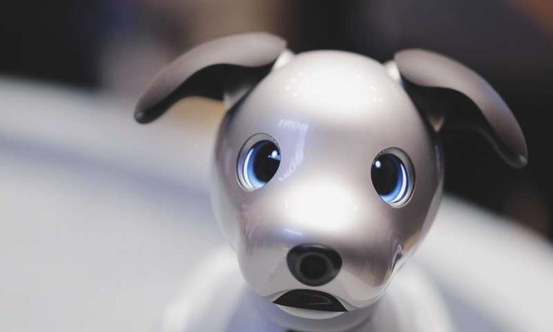 Sony's Robot Dog Banned In Illinois Over Facial Recognition