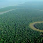 Should Military Invade Brazil To 'Save' The Amazon Rainforest?