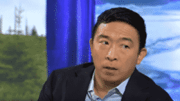 Andrew yang