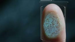 biometric identity