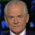 Peter Navarro Blisters Anthony Fauci: 'Has Been Wrong About Everything I Have Interacted With Him On'