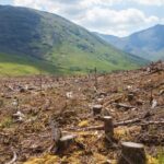 Environmentalists Cause Environmental Disaster In Europe