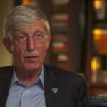NIH Director Francis Collins Ordered "Takedown" Of The Great Barrington Declaration