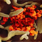 Dr. Meryl Nass Debunks SARS-CoV-2 'Virus Isn't Real', 'Never Been Isolated' Myths