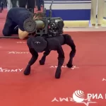 robot dog with rpg
