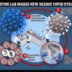 Boston University Creates Deadly COVID Strain With 80% Mortality In Humanized Mice