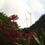 Big Wind, Big Fail In Hawaii's Lanai Paradise