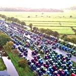 dutch farmer protests