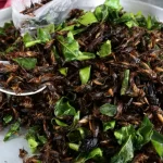 EU Approves House Crickets And Mealworms For Human Consumption