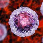 Schermata 2023-06-22 su 7.53.32 AM