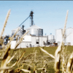 Mercola: The Stupidity of Ethanol as “Green” Energy
