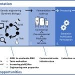 PF-infographic-1024×586