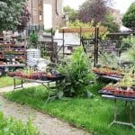 UofM Study: Your Urban Garden Has 6X Carbon Footprint Than Conventional Farming food-from-urban-agriculture-has-carbon-footprint-6-times-larger-than-conventional-produce-study-shows-Panel-D-UK-community-garden92