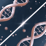 Screenshot 2025-09-02 at 8.18.24 AM